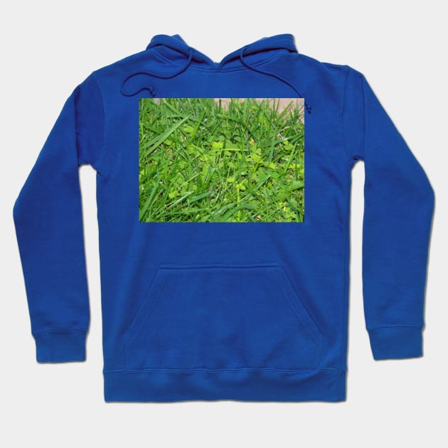 Looking for luck Hoodie by FriendlyComputerHelp